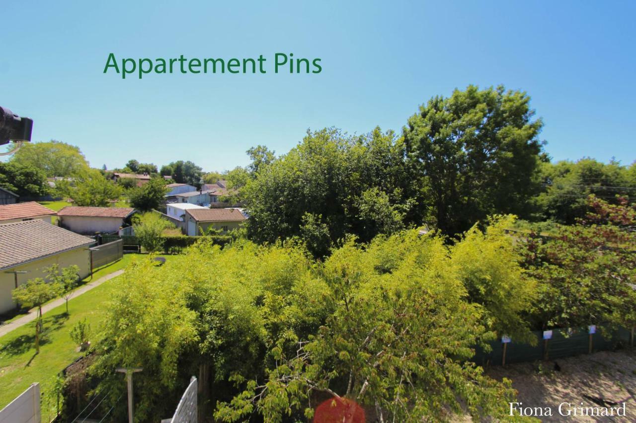 Bureaux Appartements Lesparre Medoc Zewnętrze zdjęcie